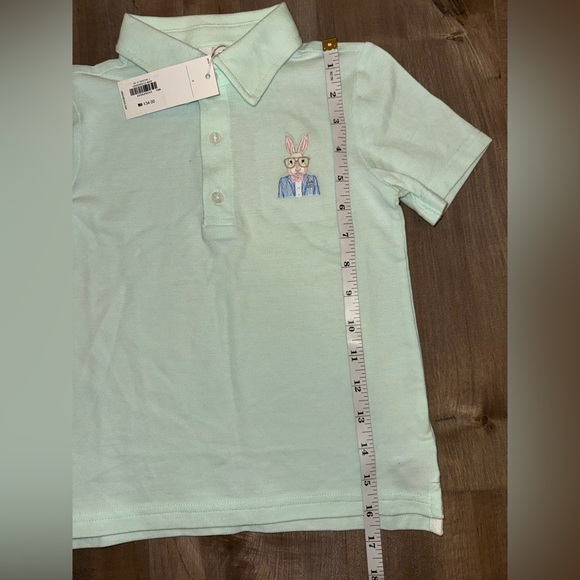 Janie and Jack Boys Classic Pique Polo Easter Polo NWT Size 4T - Picture 5 of 7